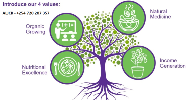 ALJCK BIBLE SCHOOL (Believers Bible Institute)